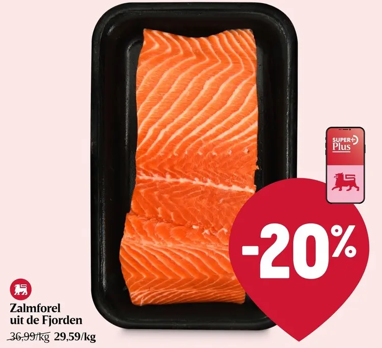 Promotie: Zalmforel