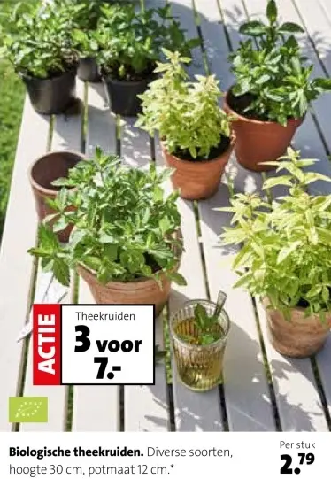 Aanbieding: Theekruiden
