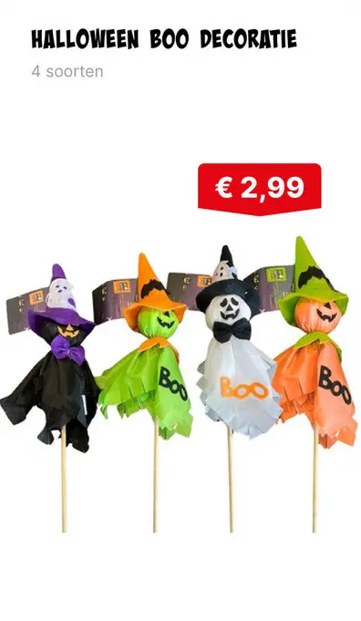 Aanbieding: Halloween boo decoratie