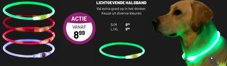 Aanbieding: Lichtgevende halsband