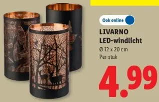 Aanbieding: LED-windlicht