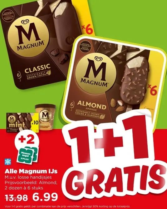 Aanbieding: Magnum IJs