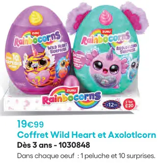 Offre: Coffret Wild Heart et Axolotlcorn