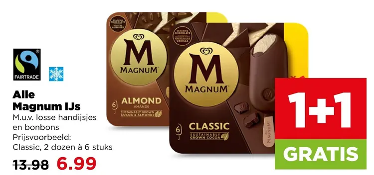 Aanbieding: Magnum IJs