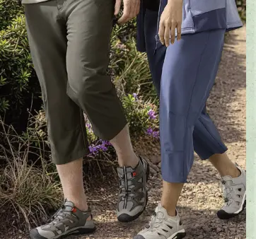 Promotie: Wandelbroek