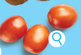 Promotie: Tomaten