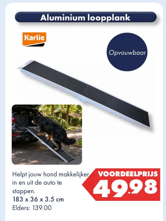 Aanbieding: Aluminium loopplank