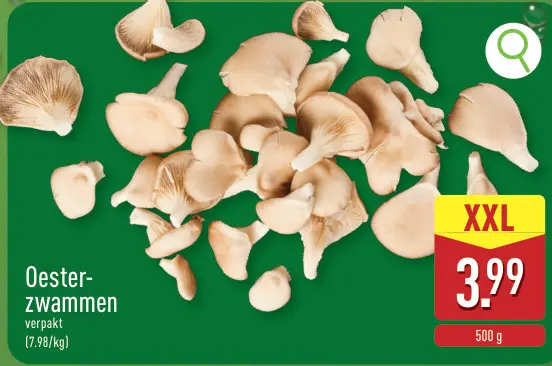 Promotie: Oesterzwammen