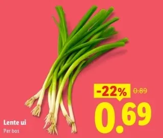 Aanbieding: Lente ui