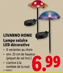 Offre: Lampe solaire LED décorative