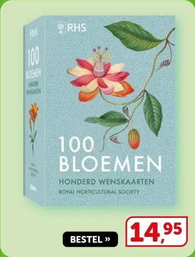 Aanbieding: 100 bloemen