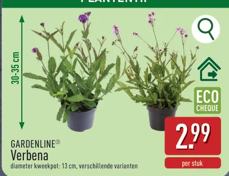 Promotie: Verbena