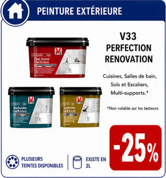 Offre: V33 Perfection renovation