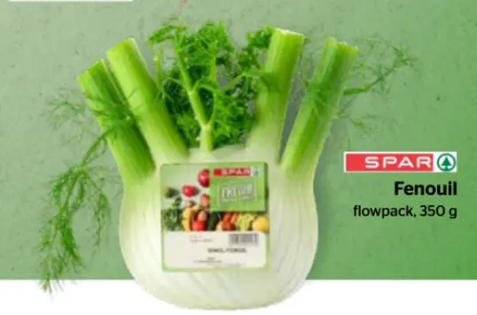 Offre: Fenouil