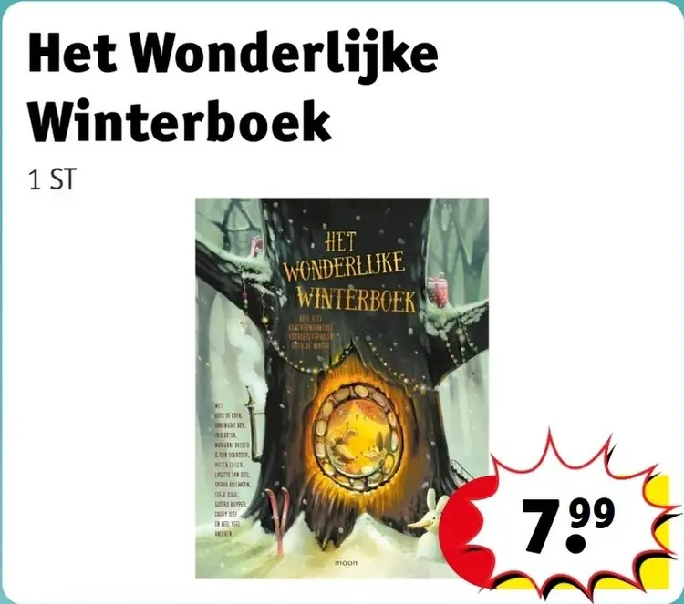 Aanbieding: Het Wonderlijke Winterboek