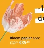 Aanbieding: Bloem papier