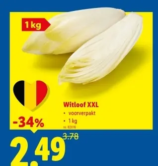 Promotie: Witloof XXL