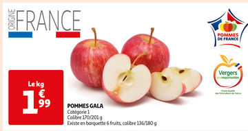 Offre: POMMES GALA