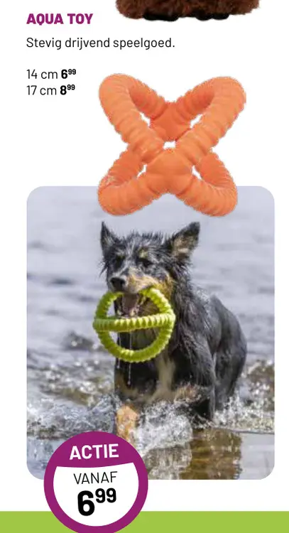 Aanbieding: Aqua toy