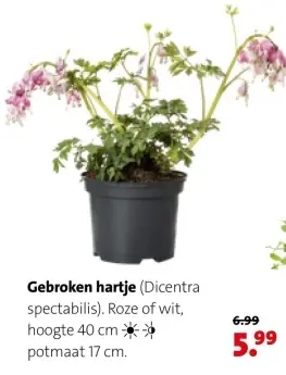Aanbieding: Gebroken hartje