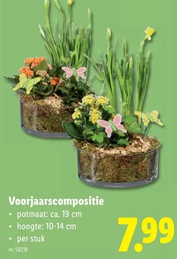 Promotie: Voorjaarscompositie