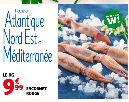Promotie: Encornet rouge