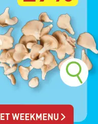 Promotie: Oesterzwammen