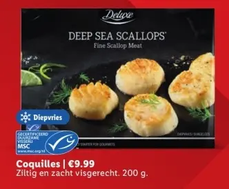 Aanbieding: Coquilles