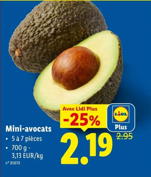 Offre: Mini-avocats
