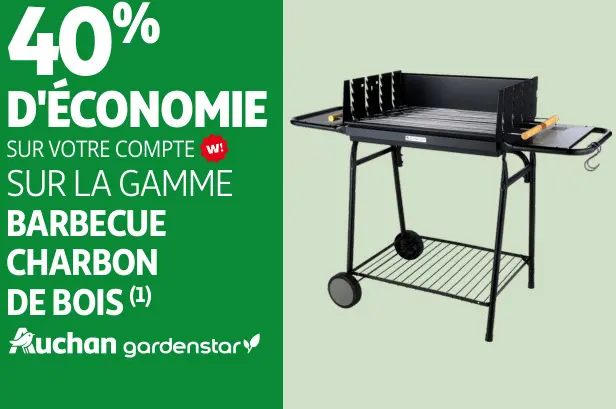 Promotie: Barbecue charbon de bois
