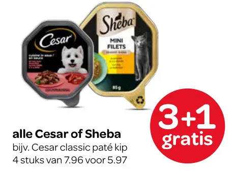 Aanbieding: Cesar or Sheba
