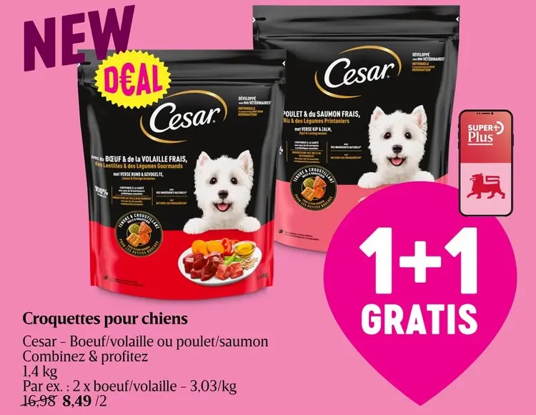 Offre: Croquettes pour chiens