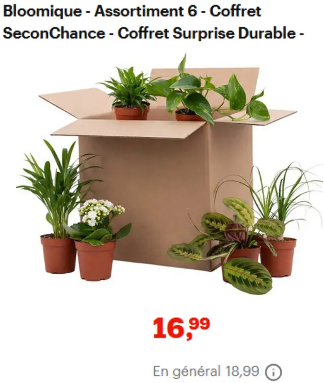 Offre: Bloomique - Assortiment 6 - Coffret SeconChan