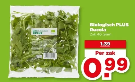 Rucola