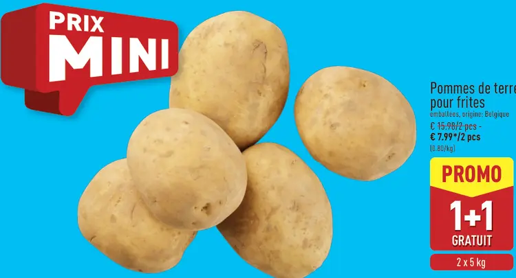 Offre: Pommes de terre pour frites