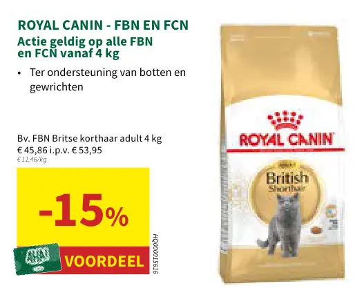 Promotie: FBN Britse korthaar adult