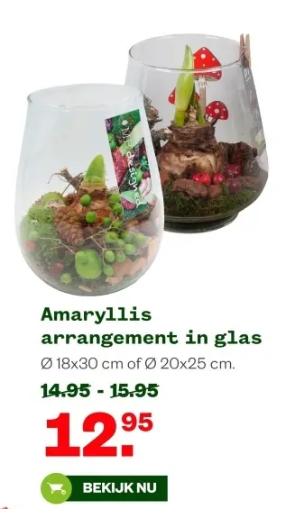 Aanbieding: Amaryllis arrangement in glas