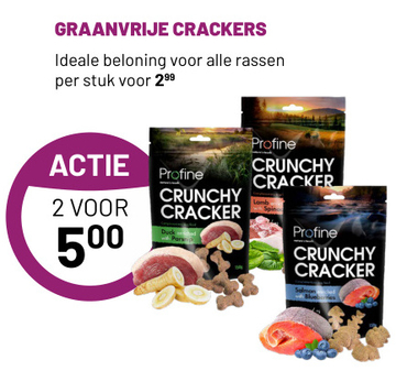 Aanbieding: GRAANVRIJE CRACKERS