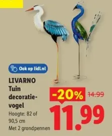 Aanbieding: Tuin decoratie-vogel