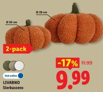 Aanbieding: Sierkussens