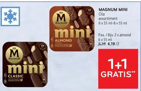 Offre: Magnum mini
