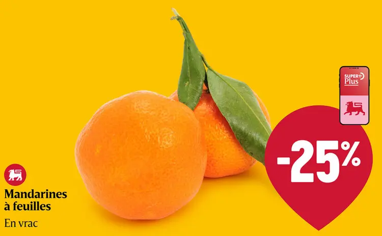 Offre: Mandarines à feuilles