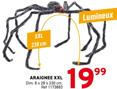 Offre: Araignée XXL