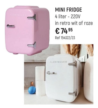 Aanbieding: MINI FRIDGE