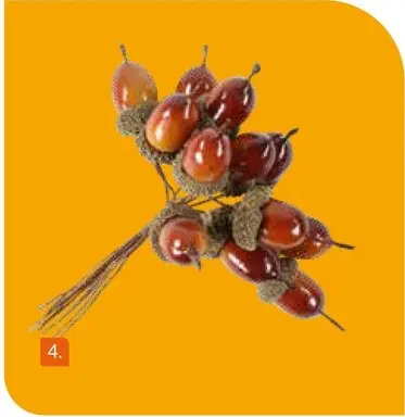 Offre: Branche avec glands