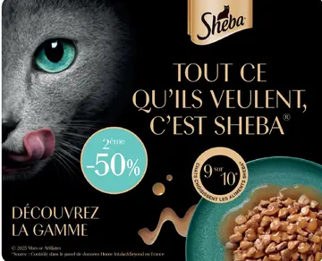 Offre: Sheba