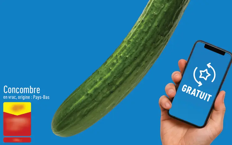 Offre: Concombre