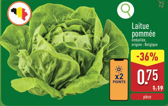 Offre: Laitue pommée