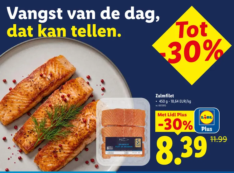 Promotie: Zalmfilet
