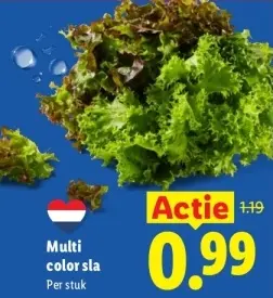 Aanbieding: Multi color sla